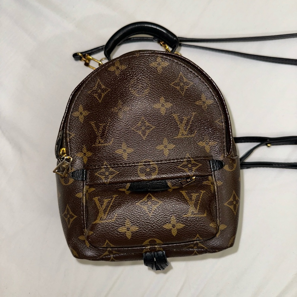 Louis Vuitton Palm Springs Mini Monogram Canvas Backpack